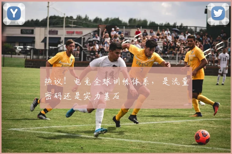 热议!电竞全球训练体系,是流量密码还是实力基石