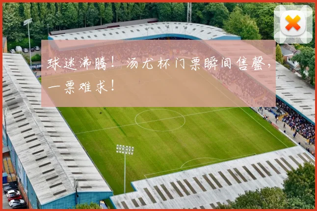 球迷沸腾!汤尤杯门票瞬间售罄,一票难求!