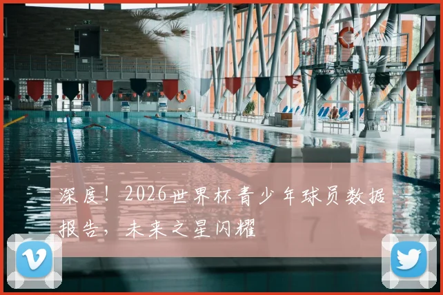 深度!2026世界杯青少年球员数据报告,未来之星闪耀