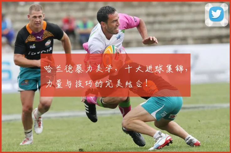哈兰德暴力美学,十大进球集锦,力量与技巧的完美结合!