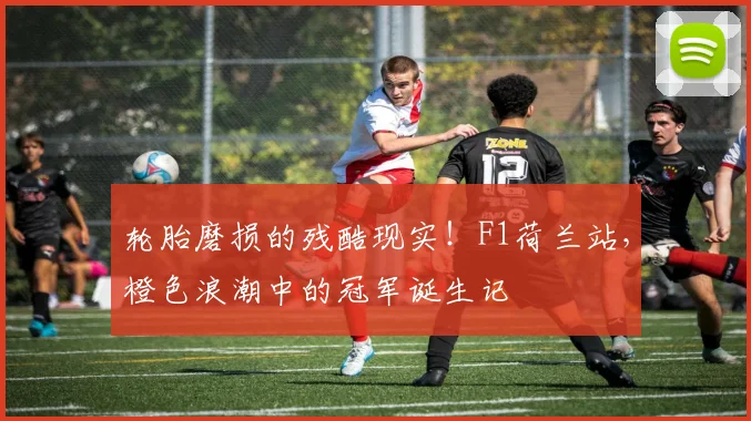 轮胎磨损的残酷现实!F1荷兰站,橙色浪潮中的冠军诞生记