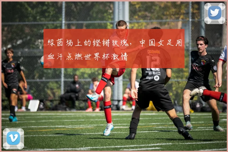 绿茵场上的铿锵玫瑰,中国女足用血汗点燃世界杯激情