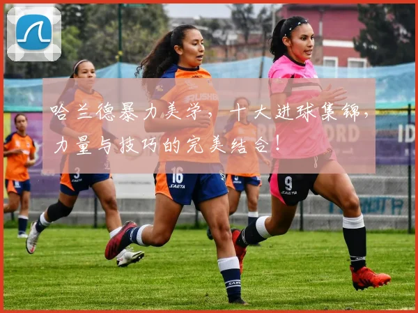 哈兰德暴力美学,十大进球集锦,力量与技巧的完美结合!